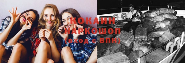 тгк Абаза