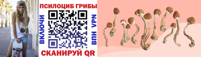 Галлюциногенные грибы Psilocybine cubensis  наркошоп  Таштагол 